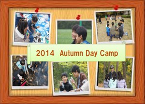 2014キャンプ ネット